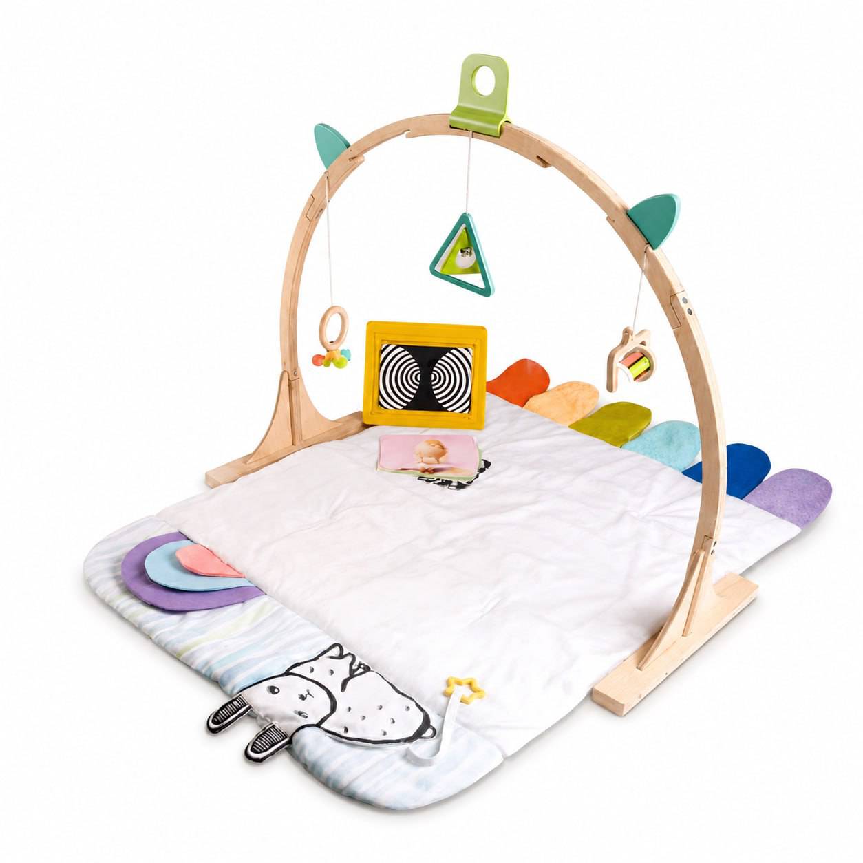 Little Explorer Play Gym