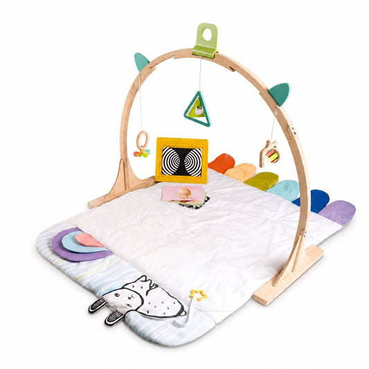 Little Explorer Play Gym